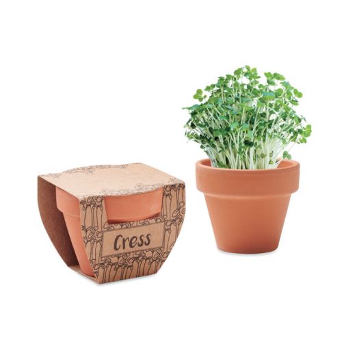 CRESS POT Terrakotta ültető, zsázsa 