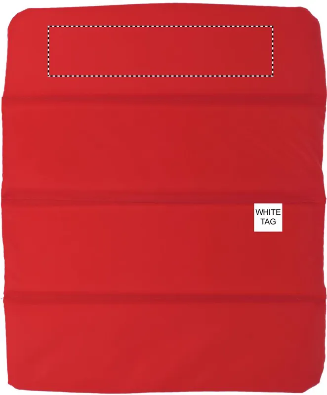 BACK SEGMENT
