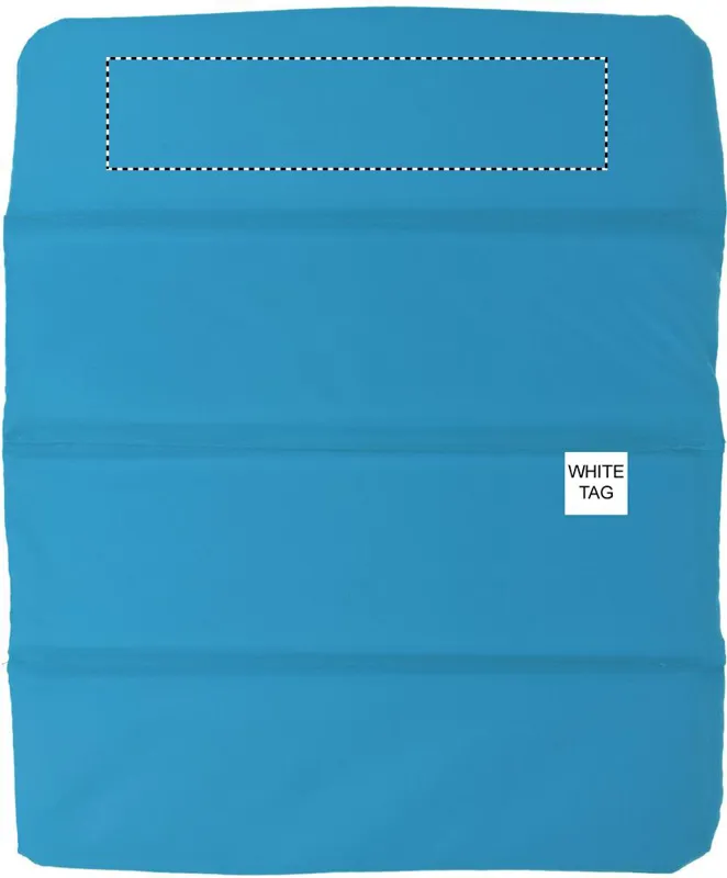 BACK SEGMENT