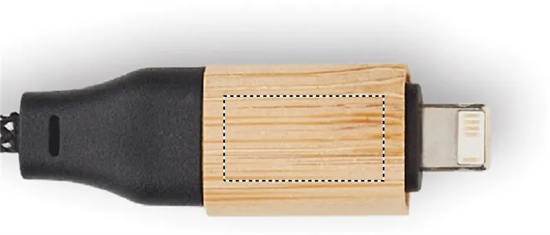 PLUG 1