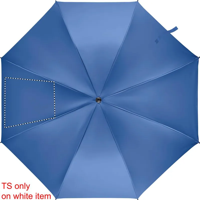 SEGMENT 2