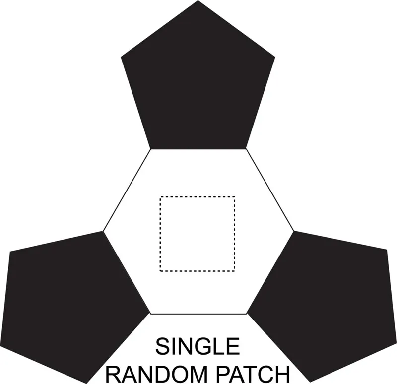SINGLE RANDOM PATCH