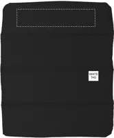 BACK SEGMENT