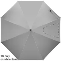 SEGMENT 4