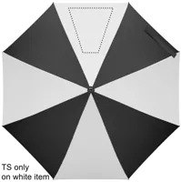 SEGMENT 3