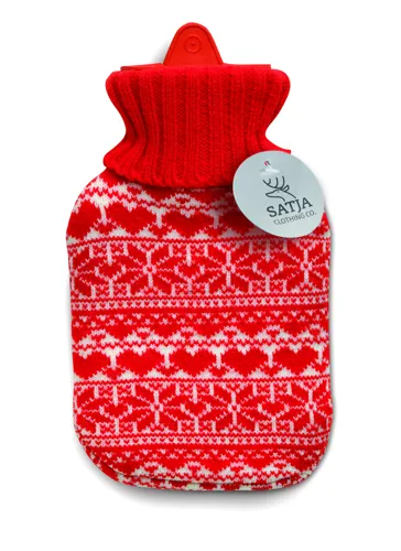 AALBORG Melegvizes palack 310ml