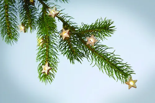 MILKY WAY Csillag fényfüzér