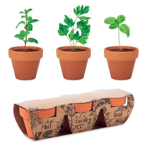 FLOWERPOT 3 r. terrakotta ültető szett Fa 