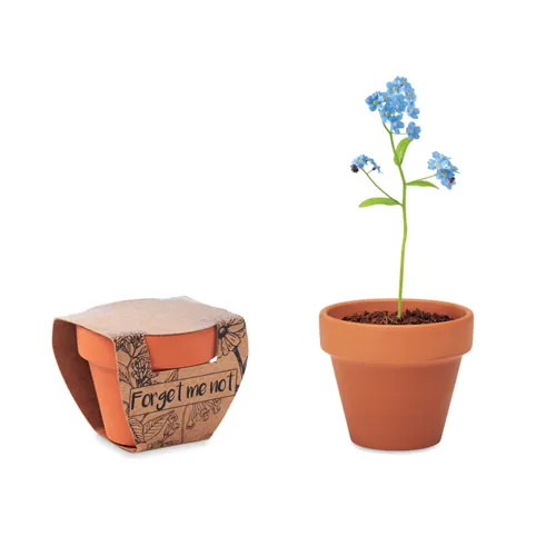 FORGET ME NOT Terrakotta ültető, nefelejcs Fa 