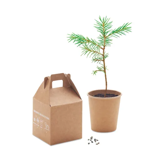 GROWTREE™ Fenyő ültető készlet Bézs 