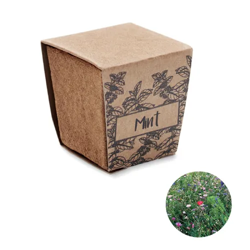 MINT KIT Menta ültetőkészlet Bézs 