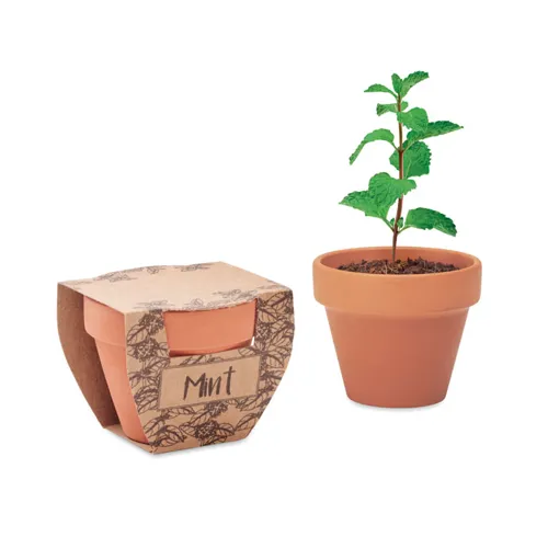 MINT POT Terrakotta ültető, menta Fa 