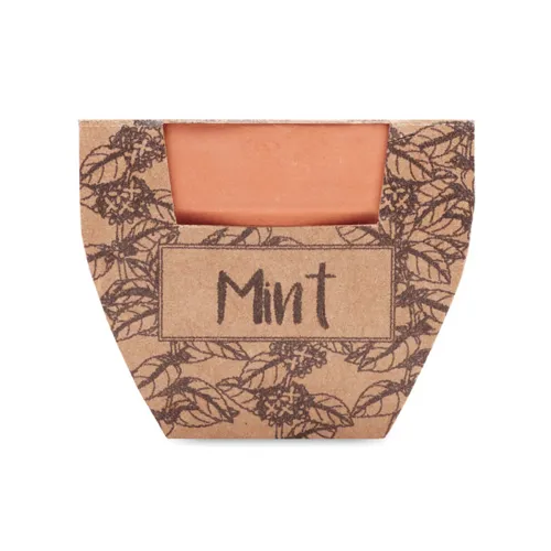 MINT POT Terrakotta ültető, menta Fa 