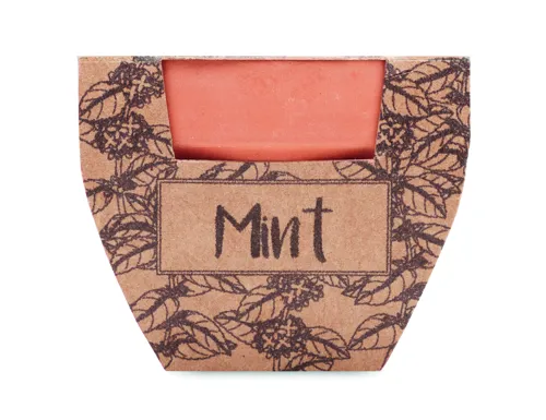 MINT POT Terrakotta ültető, menta