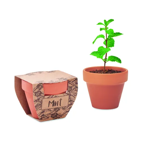 MINT POT Terrakotta ültető, menta