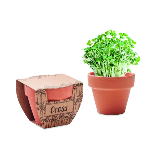 CRESS POT Terrakotta ültető, zsázsa