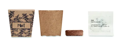 MINT KIT Menta ültetőkészlet