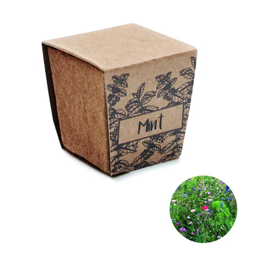 MINT KIT Menta ültetőkészlet