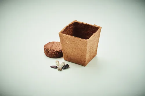 SUNFLOWER KIT Napraforgó ültetőkészlet