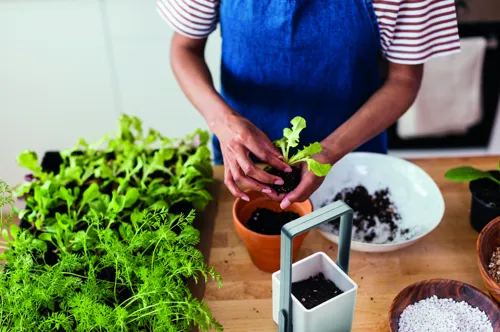 LUSHLET Szobakert LED fénnyel