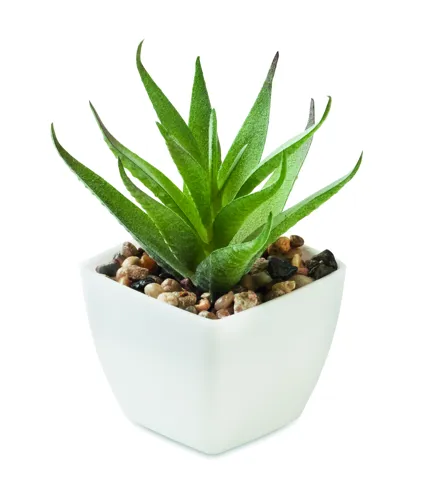 ARTILOE Mini műnövény, aloe ferox mill