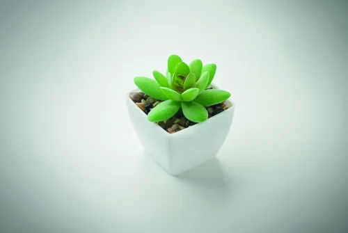 ARTIGRAP Mini műnövény, graptopetalum