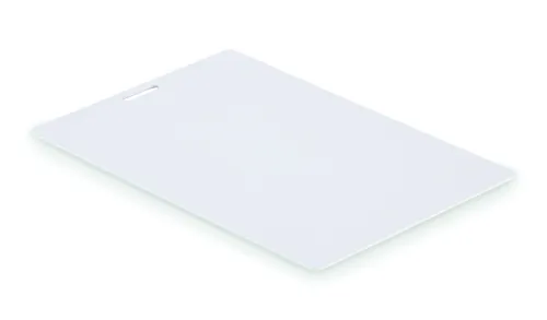 BADLARGE Azonosítókártya 120x80 mm