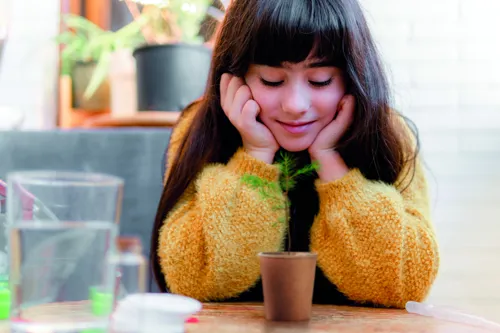 GROWTREE™ Fenyő ültető készlet