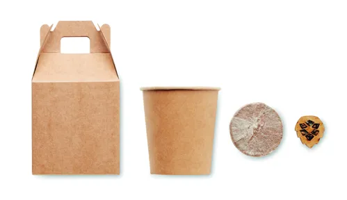 GROWTREE™ Fenyő ültető készlet