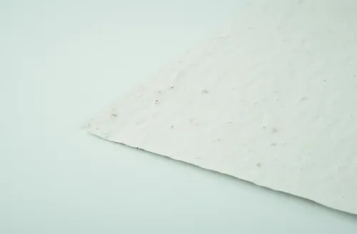 ASIDE A5 vadvirág magpapír lap