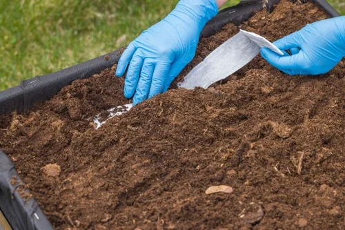 ROLL Fűszernövény magszalag