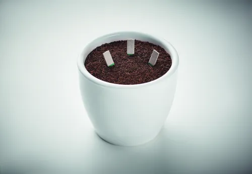 LEYTI Fűszernövény magpálcikák