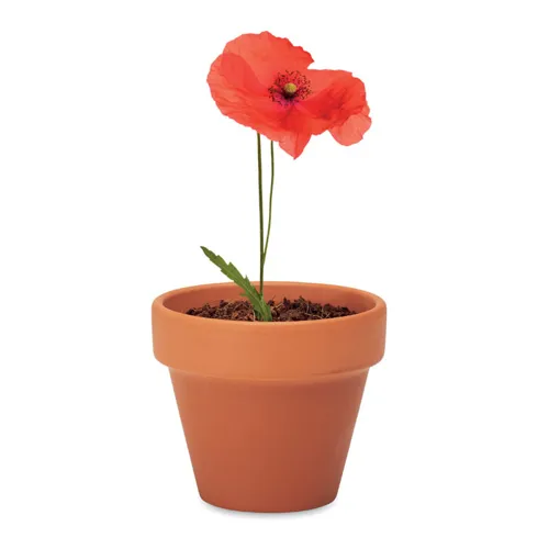 RED POPPY Terrakotta ültető, pipacs Fa 