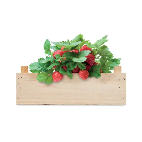 STRAWBERRY Epertermesztő készlet, faláda Fa 