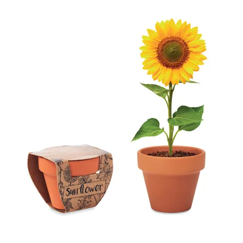SUNFLOWER Terrakotta ültető, napraforgó Fa 
