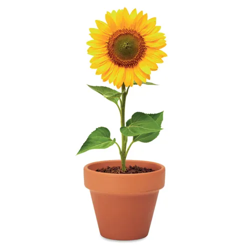 SUNFLOWER Terrakotta ültető, napraforgó Fa 